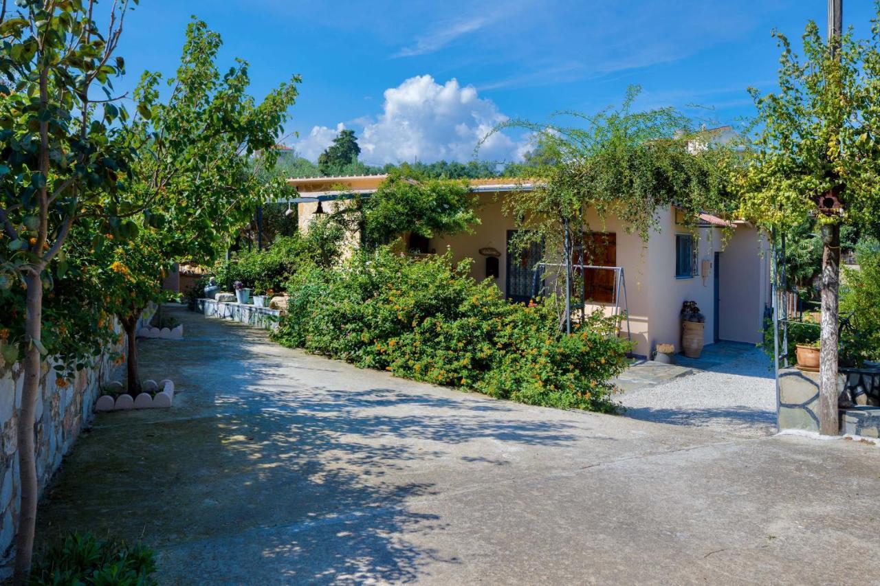 Willa The Olive House Kondomarion Zewnętrze zdjęcie
